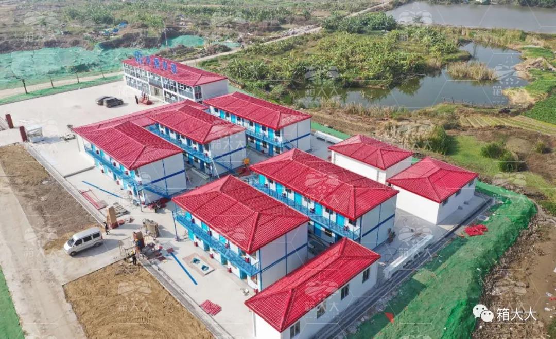 1548516082121362.jpg 1.jpg